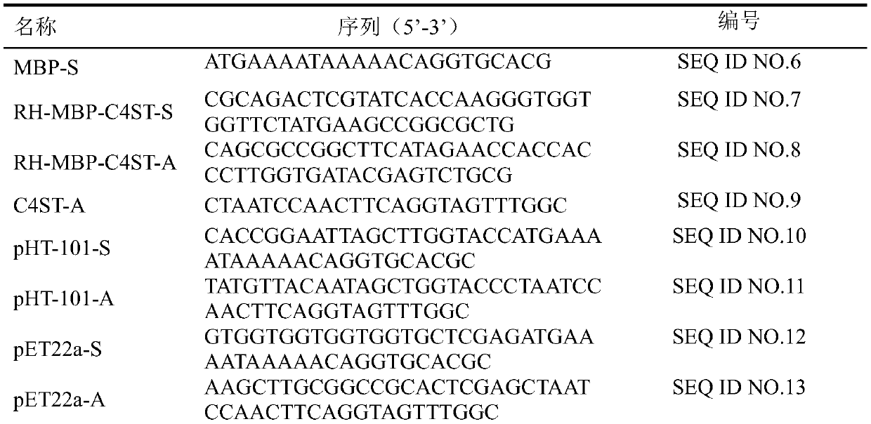 Recombinant strains expressing chondroitin 4-sulfotransferase gene and application of recombinant strain
