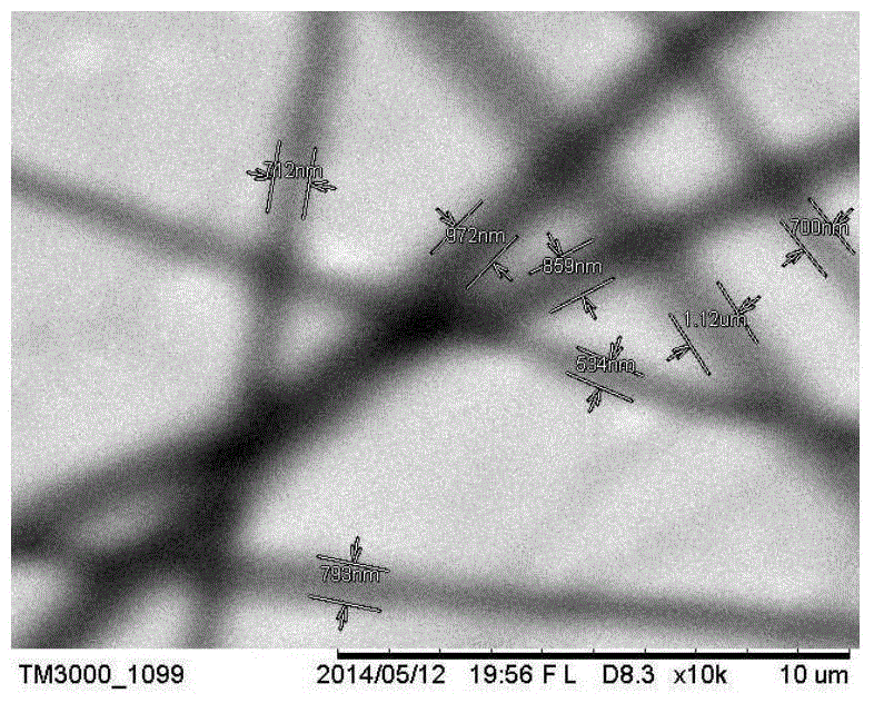 A kind of dendrimer/polyacrylic acid composite film and preparation method thereof