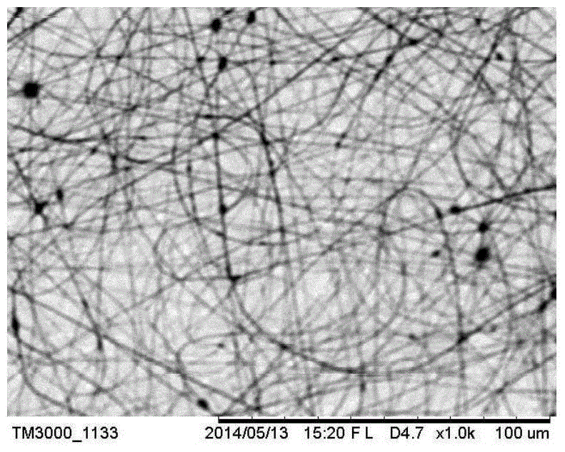 A kind of dendrimer/polyacrylic acid composite film and preparation method thereof