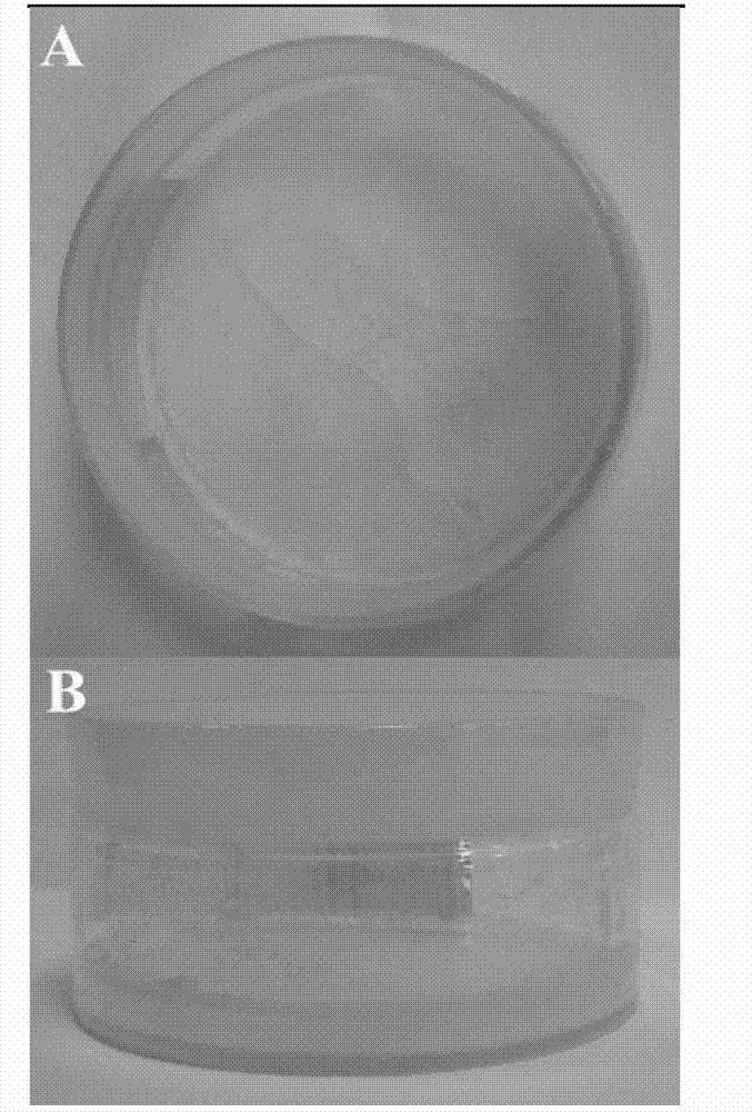A method for preparing hydrophobic drug nanoparticles by ice template method