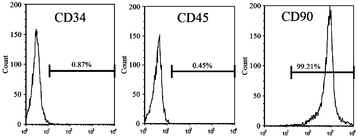 Application of 3beta-cinnamoyl diosgenin in induced differentiation of mesenchymal stem cells