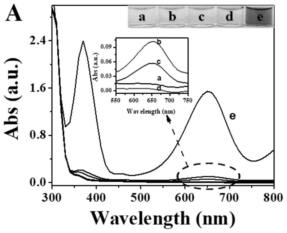 Method for detecting histone acetyltransferase based on nano-enzyme