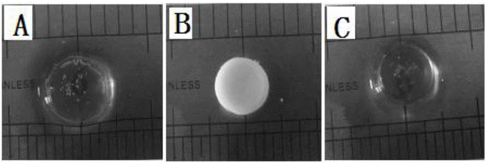 Photo-thermal dual-responsive high-strength hydrogel and its preparation method and application