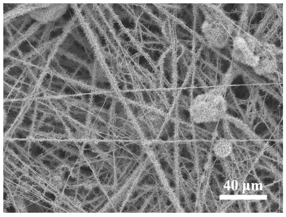 Preparation method of zinc oxide nanowire modified nanofiber filtering membrane