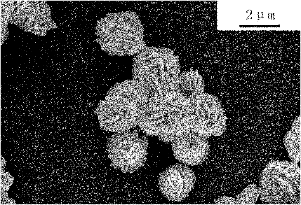 Preparation method of nickel-cobalt hydroxide with controllable appearance