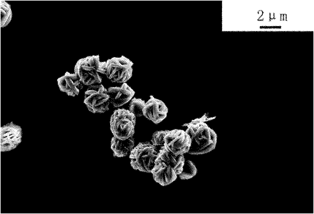 Preparation method of nickel-cobalt hydroxide with controllable appearance