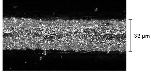 A kind of conductive paste and semiconductor device made of it