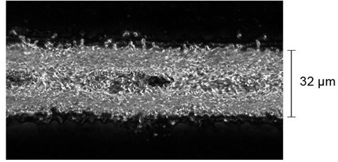 A kind of conductive paste and semiconductor device made of it