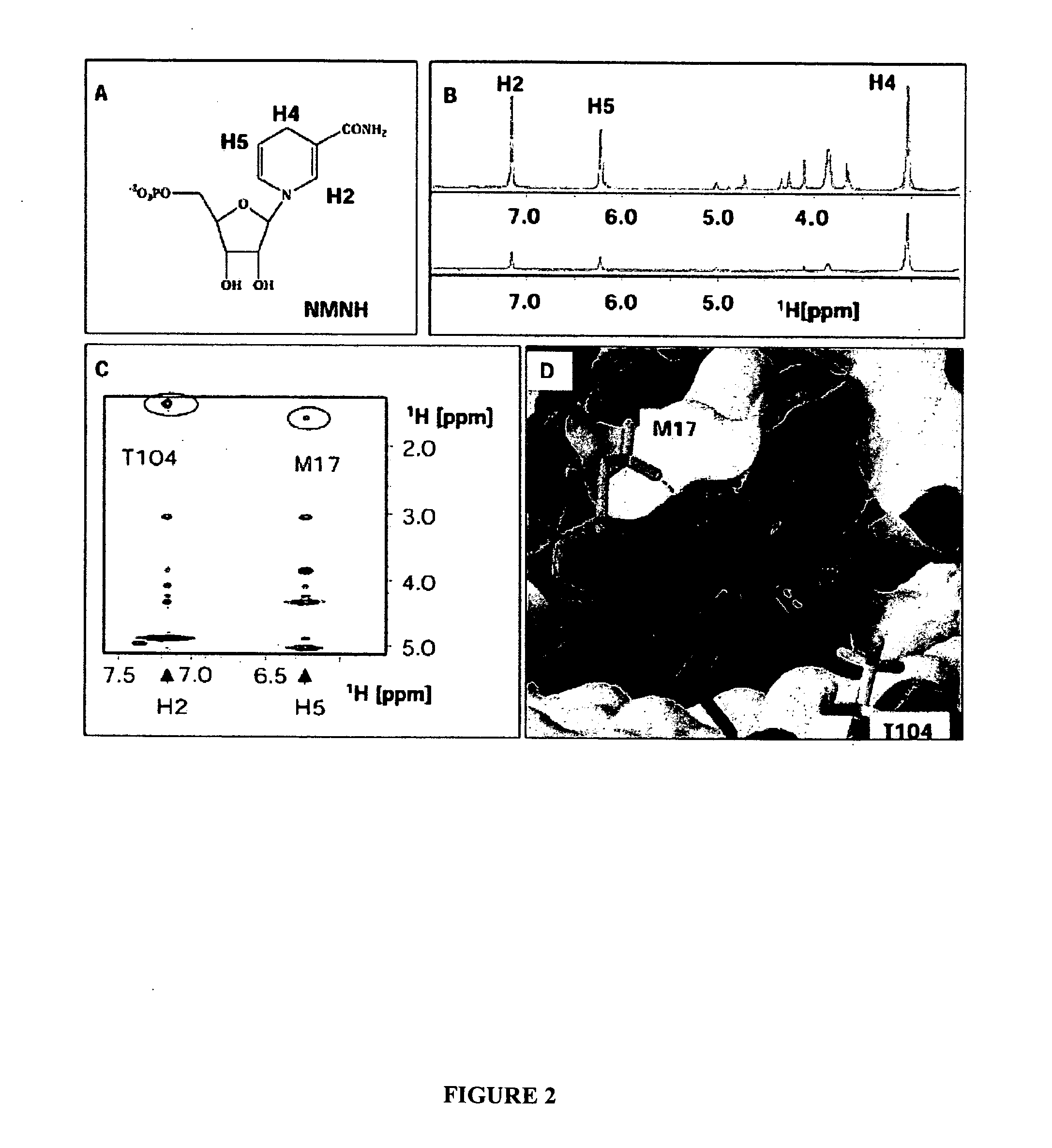 Nuclear magnetic resonance-docking of compounds