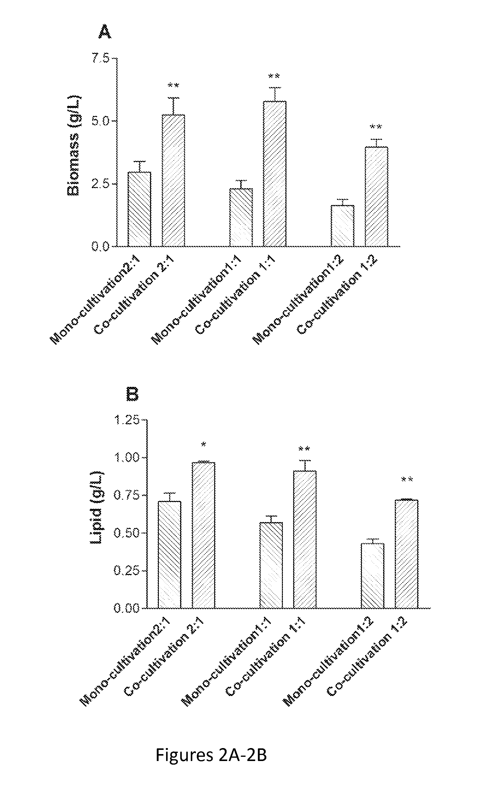 System and Method of Co-Cultivating Microalgae with Fungus