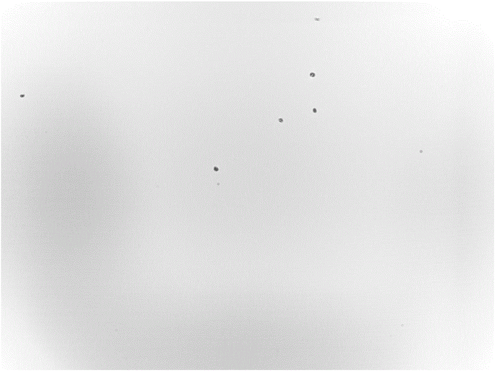 Method for detecting surface dirt defect of image sensor