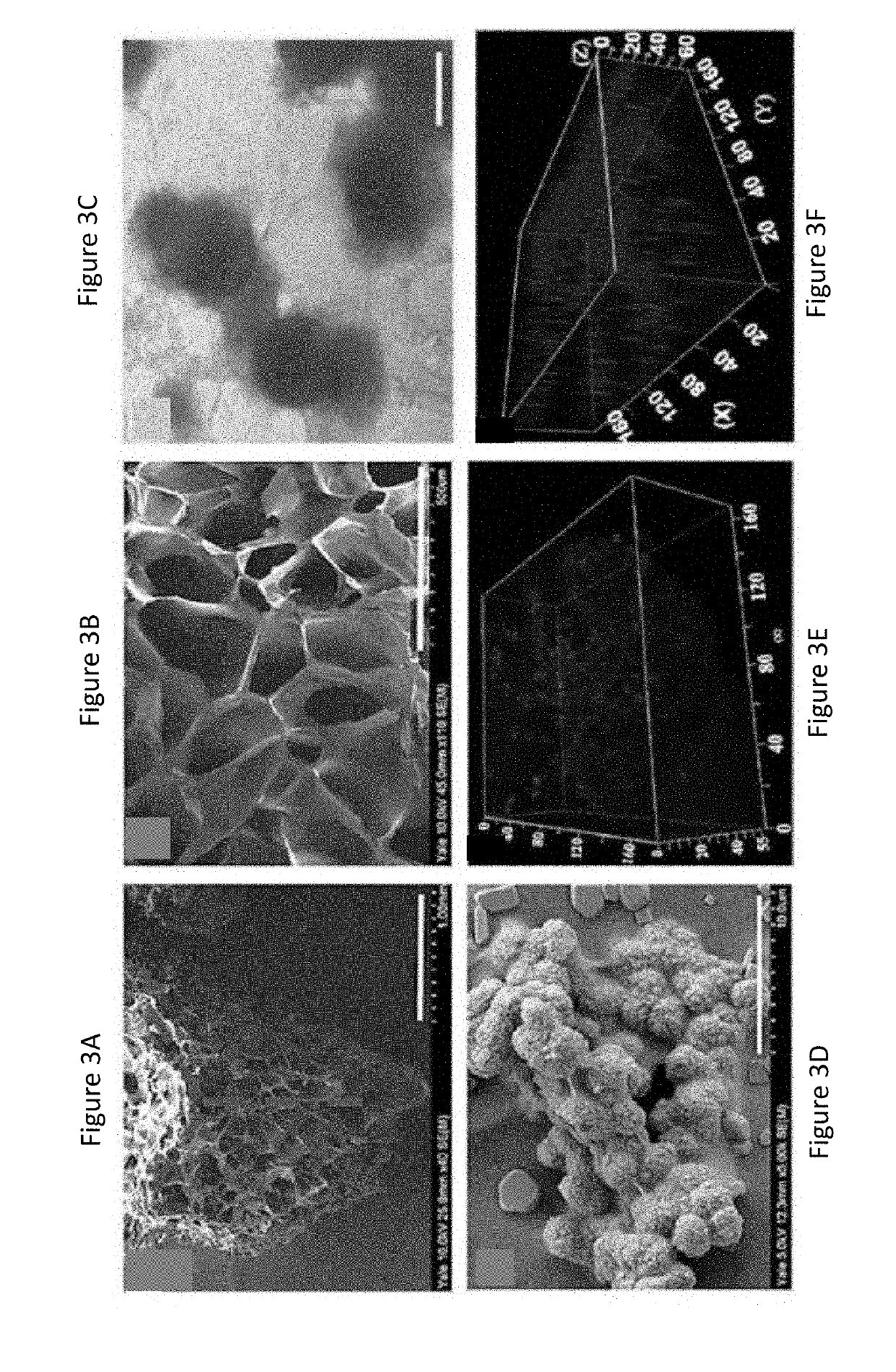 Composition and methods for culturing retinal progenitor cells