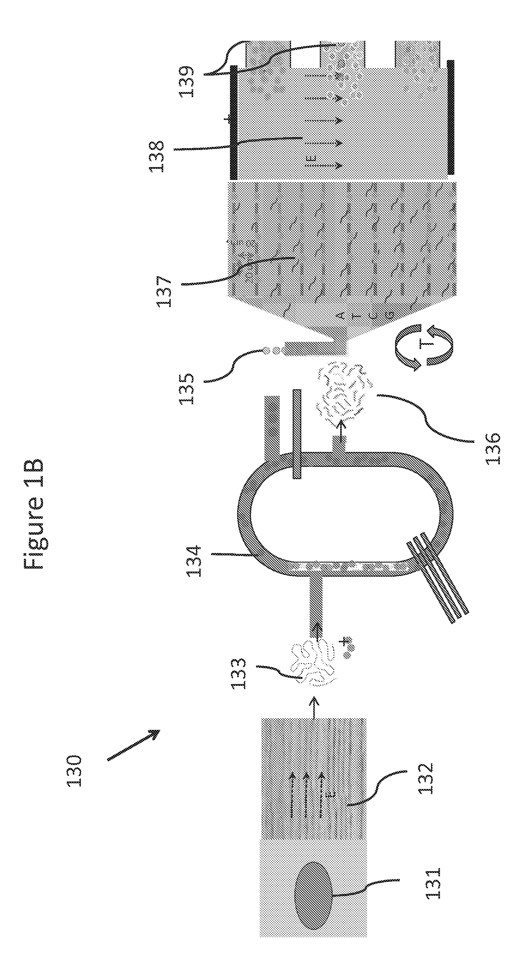 Systems and methods for genetic and biological analysis