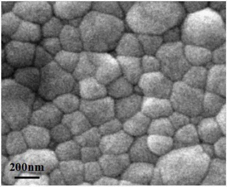 A low-temperature cold-sintering preparation method of a zirconia ceramic setter plate used for MnZn ferrite sintering