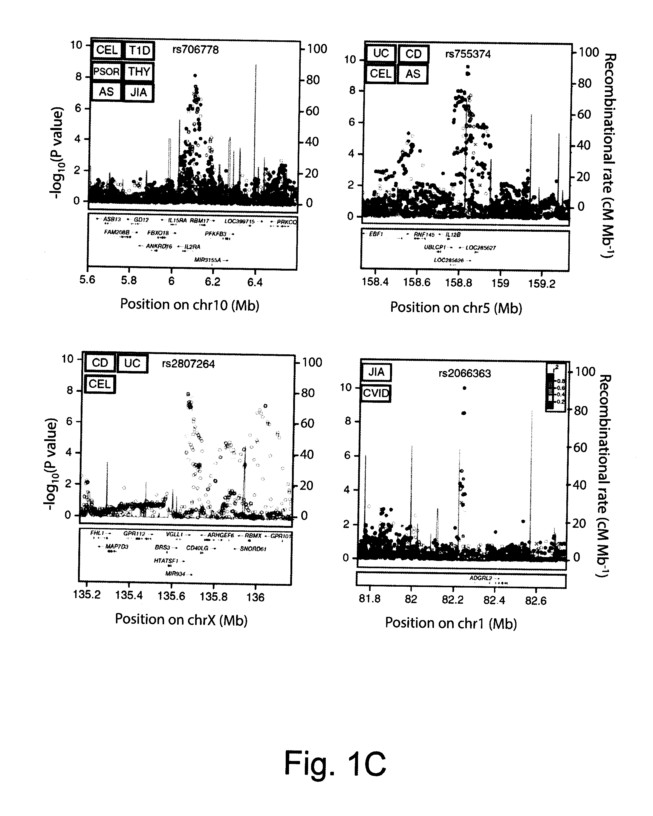 Compositions and Methods for Use in Combination for the Treatment and Diagnosis of Autoimmune Diseases
