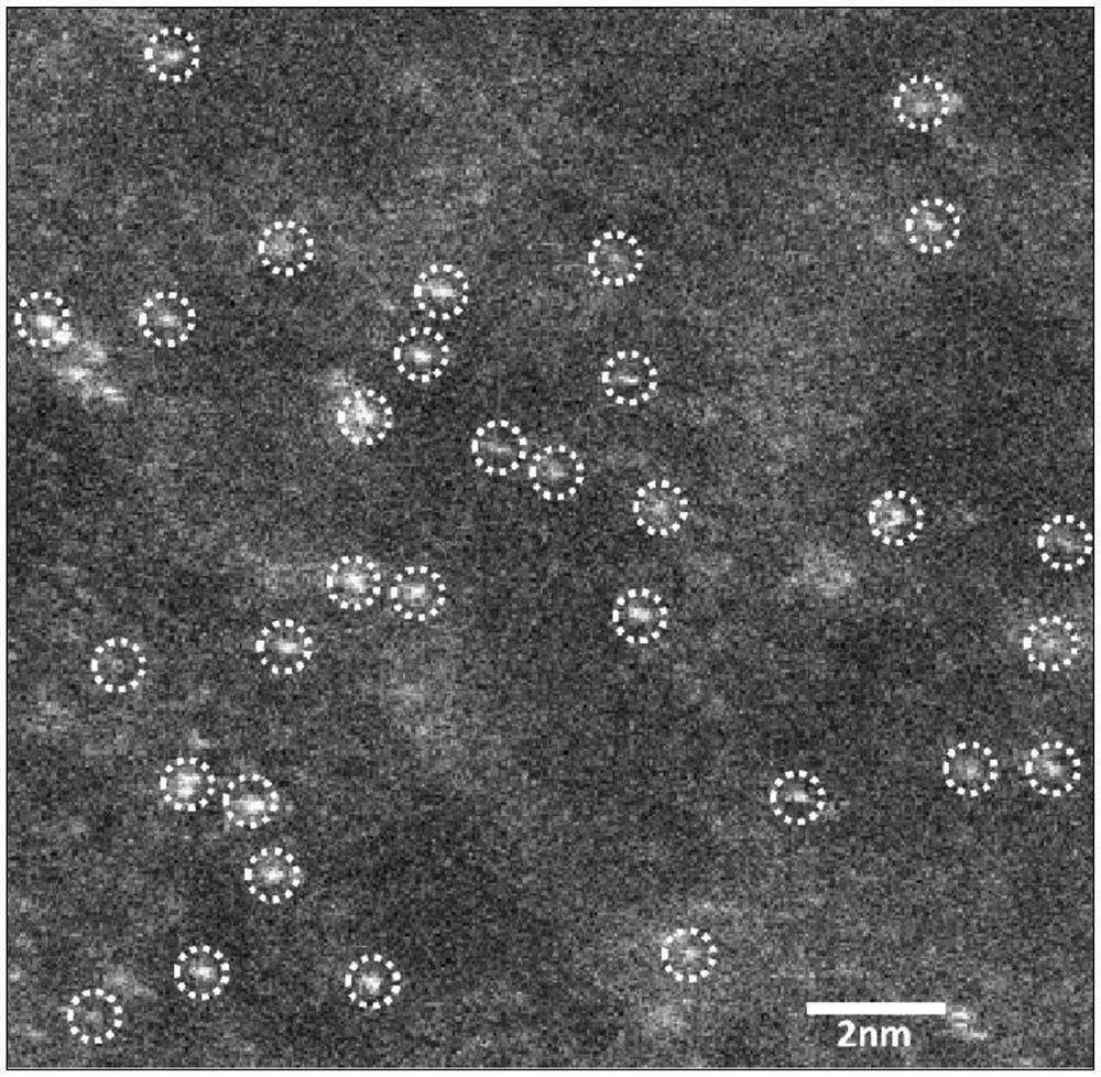 A single-atom zinc material that can replace zinc oxide used in the rubber field and its preparation method