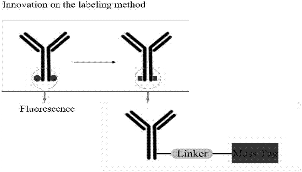 Single-cell protein detecting method for flow type combination ICP-MS on basis of metal isotope labels