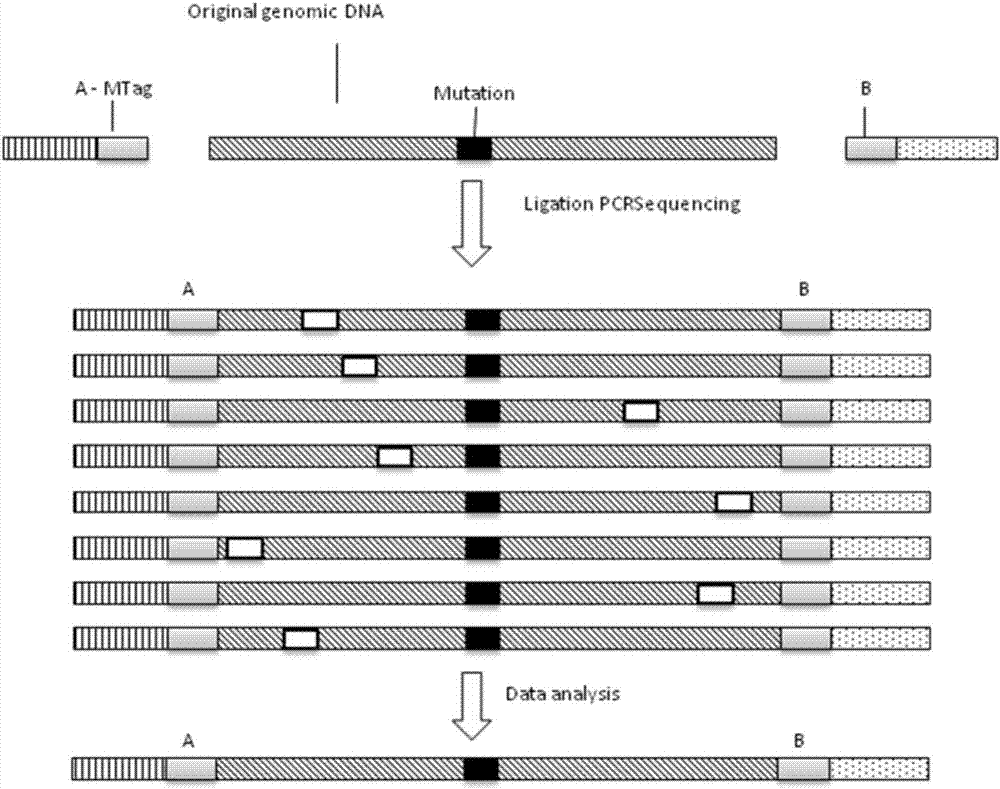 Method and kit for detecting mutation of EGFR gene