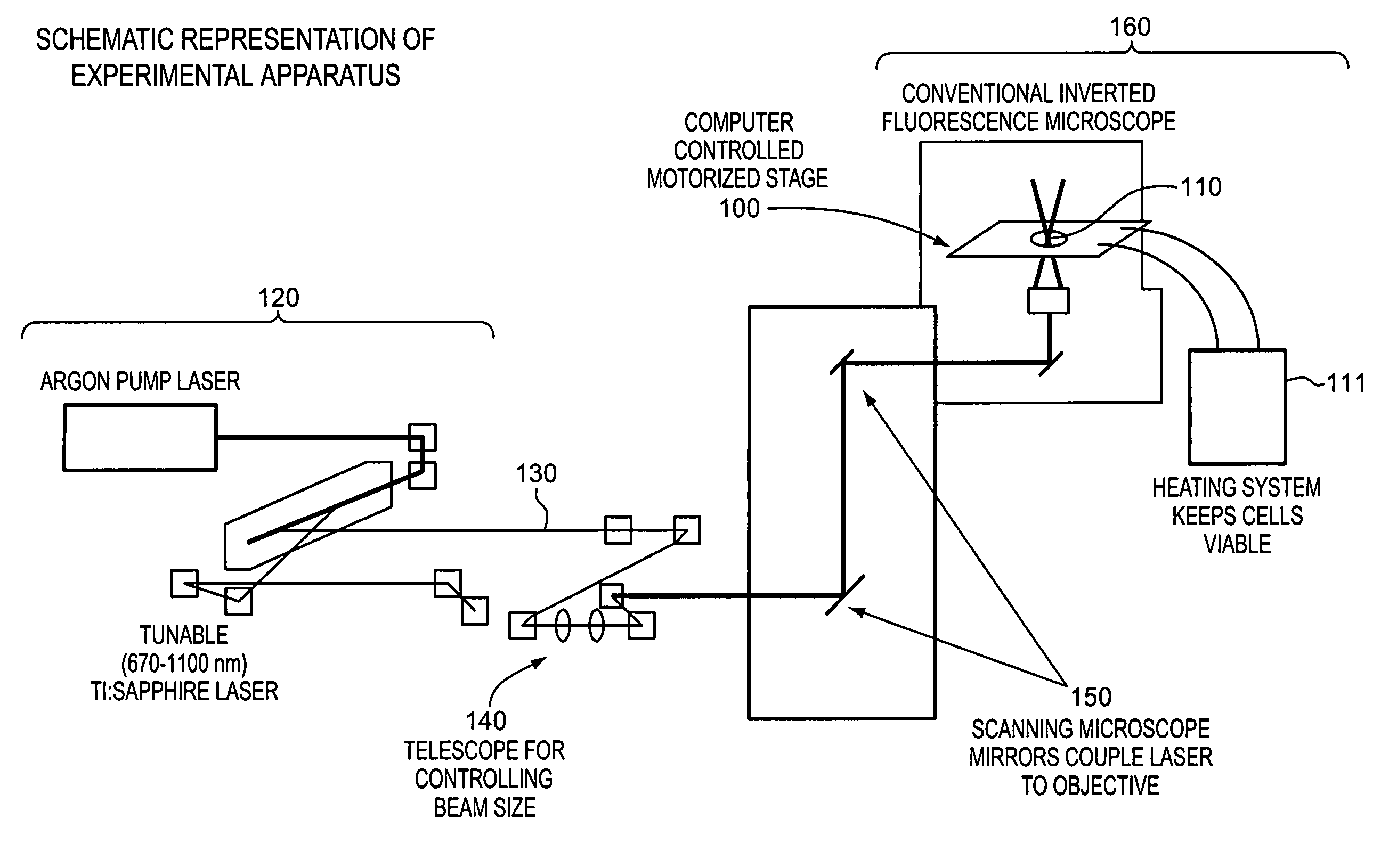 Optical cell guidance method and apparatus