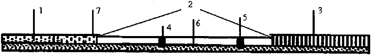 A test strip and method for detecting neomycin