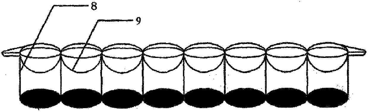 A test strip and method for detecting neomycin