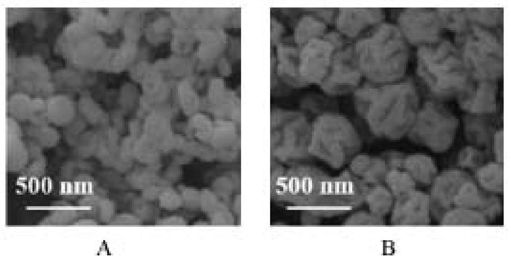 A preparation method and application of magnetic nanoparticles for capturing exosomes in blood