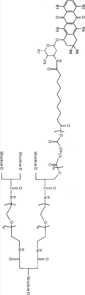 Preparation and application of dendritic polymer grafted with anthracycline antibiotic