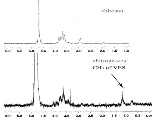 Vitamin E succinate-chitosan graft and preparation method and application thereof