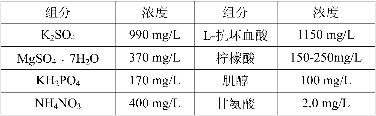 Method for producing catalpol by utilizing suspension-cultured rehmannia glutinosa cambium stem cells