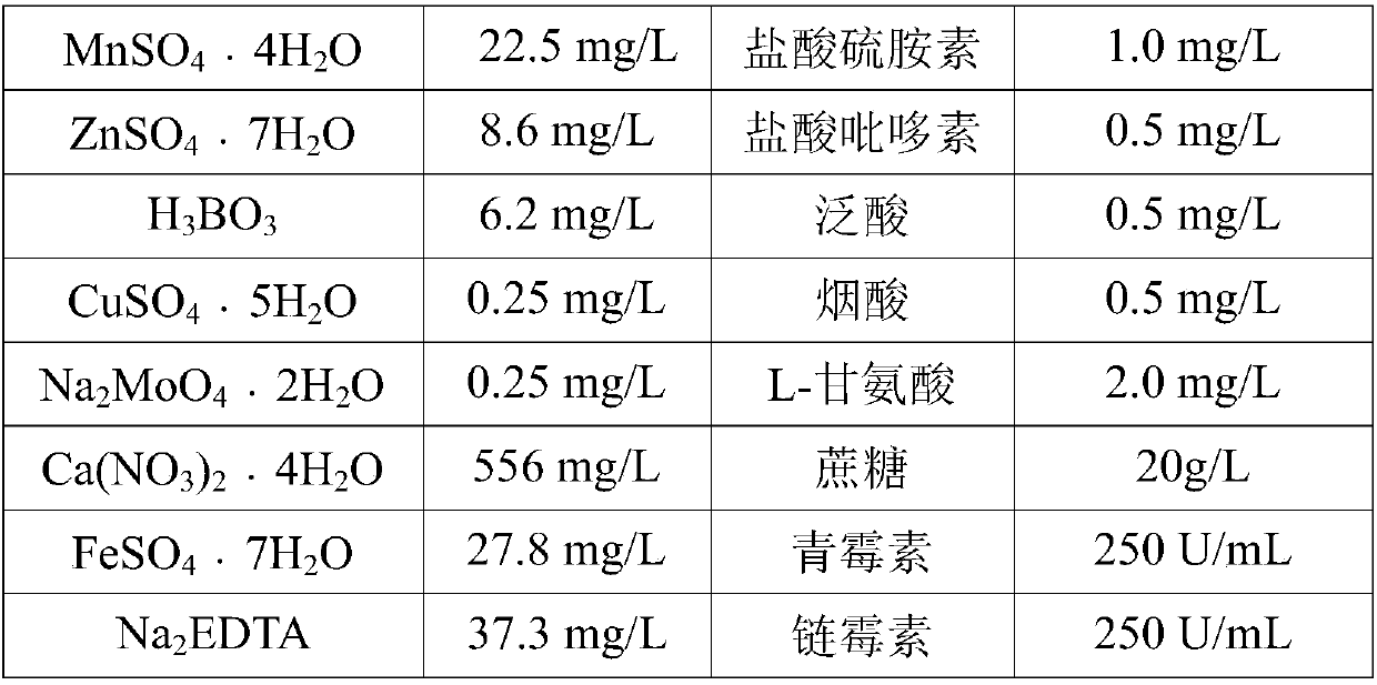 Method for producing catalpol by utilizing suspension-cultured rehmannia glutinosa cambium stem cells