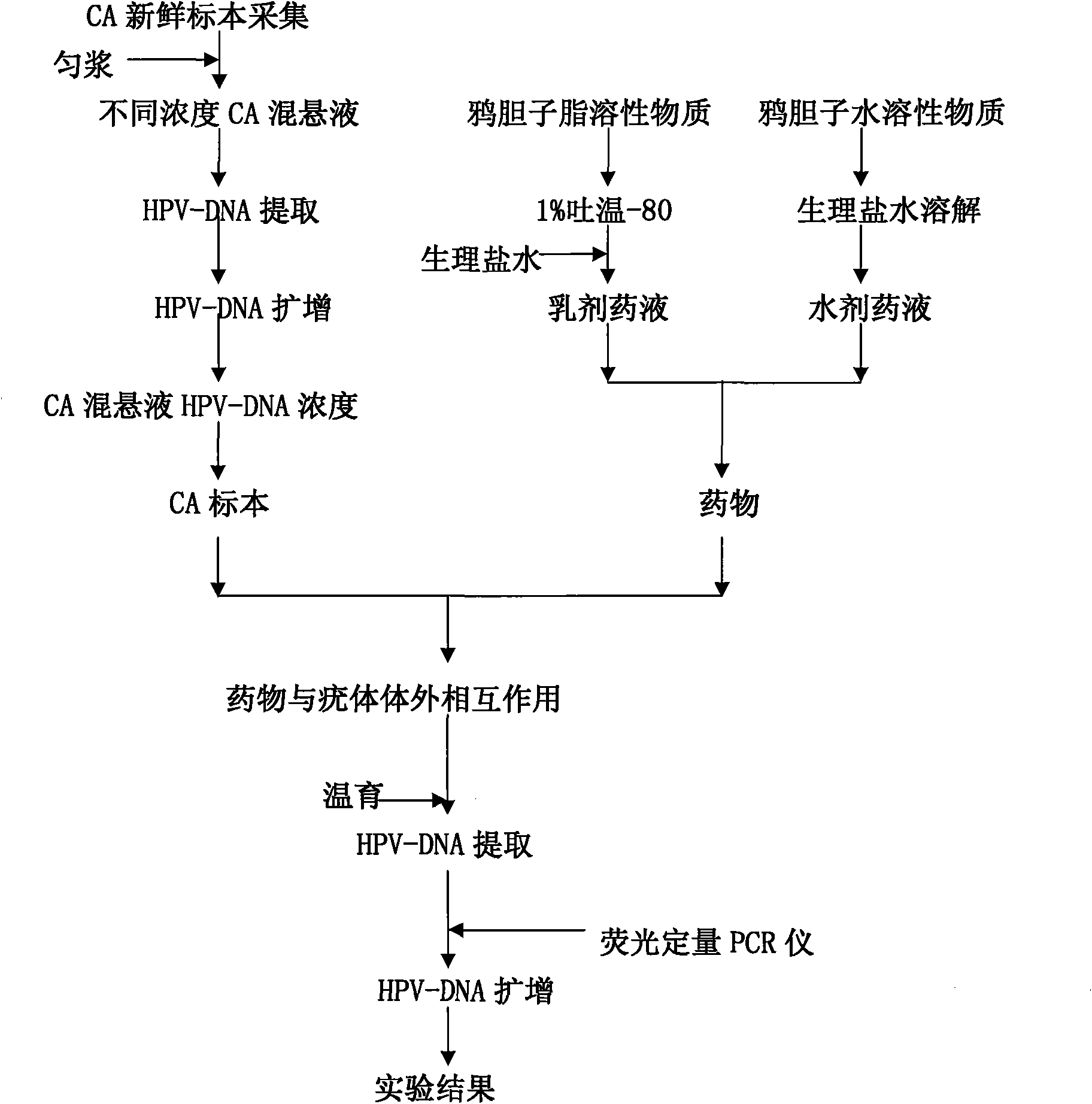 Application of gallic acid in preparing anti-HPV medicine