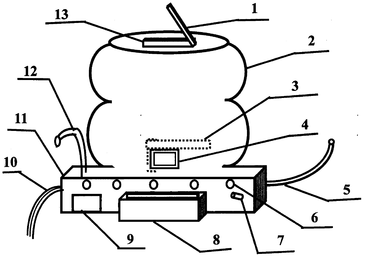 Prize output device applied to learning machine and amusement machine