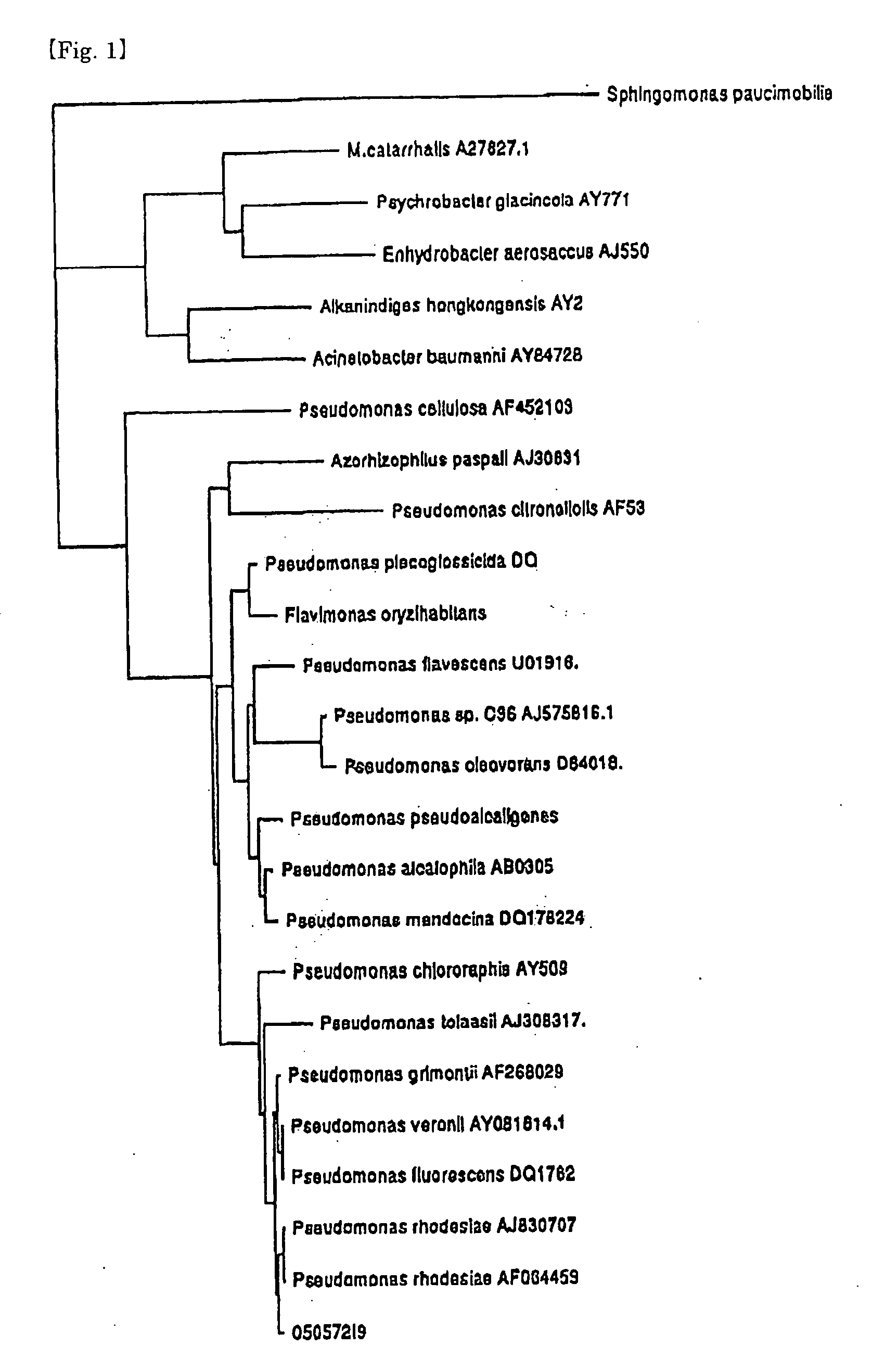 Microorganism capable of controlling plant diseases and plant disease-controlling agent using the microorganism