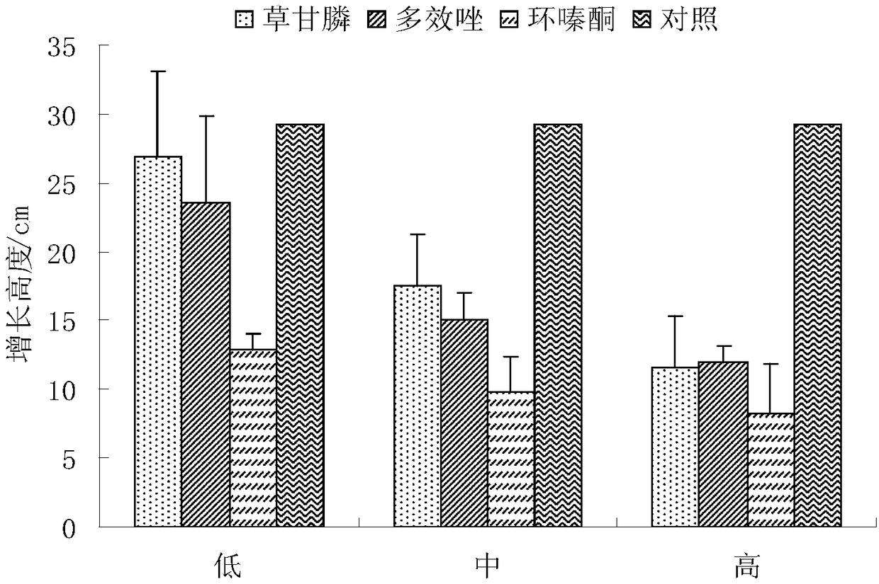 Method for inhibiting growth of poplar seedlings under power transmission line