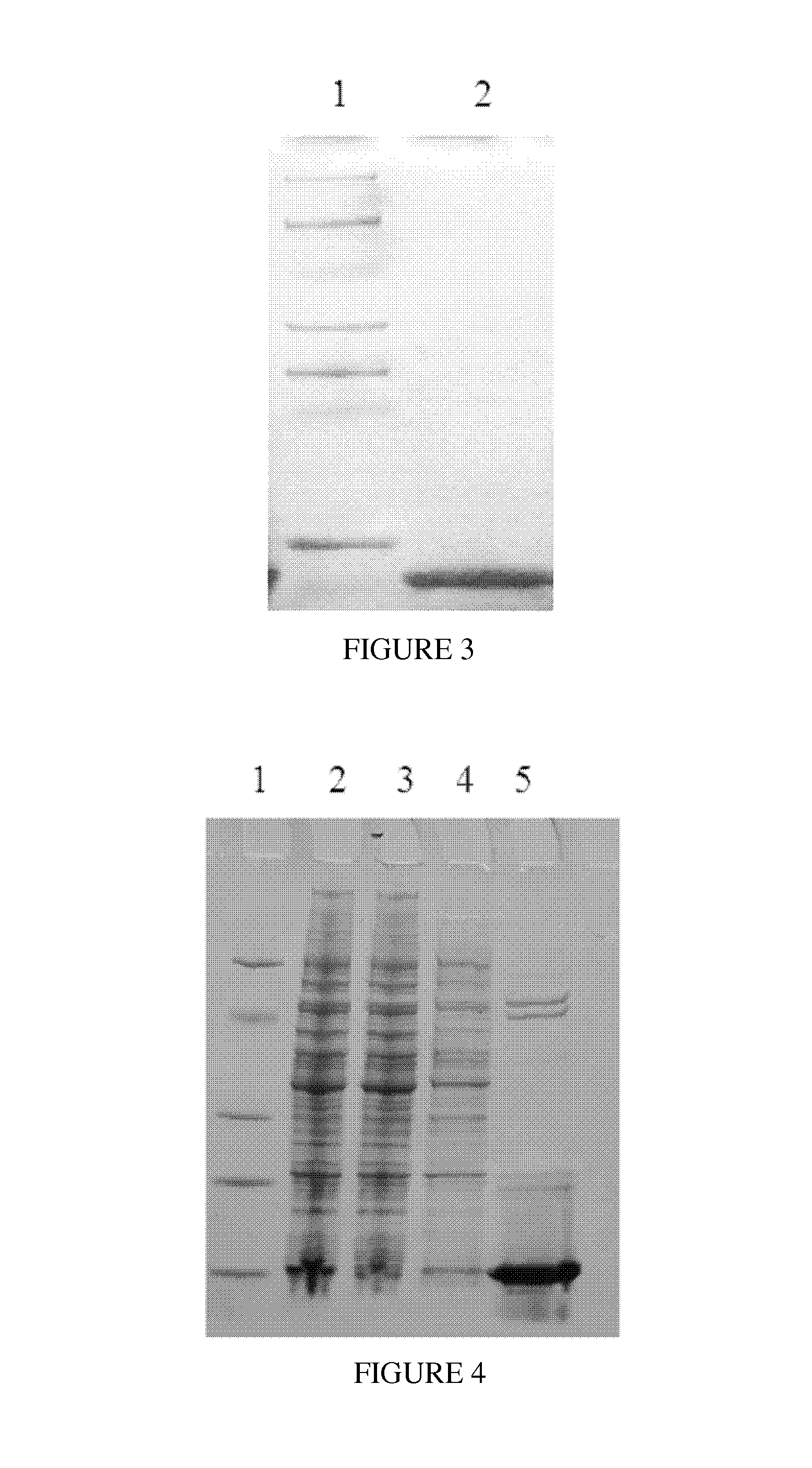 Kind of mutated proteins a with high alkali resistance feature and application thereof