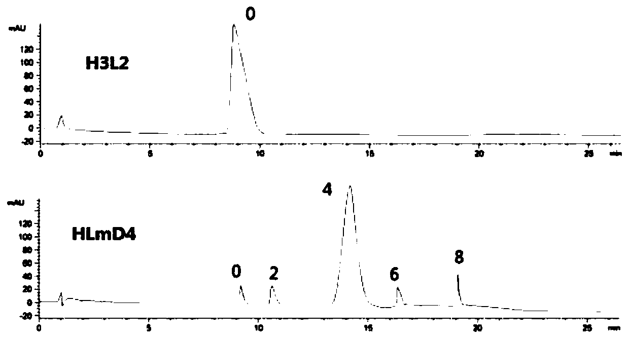 Conjugate of anti-human DLL4 humanized antibody and maytansine alkaloid DM1, preparation method and application thereof