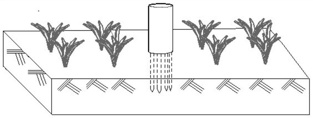 A Soil Irrigation Diagnostic Device Based on Internet of Things and Bluetooth Technology