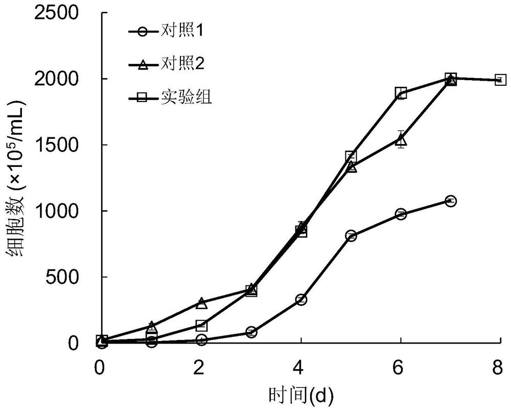 Method for efficiently producing water-soluble beta-1, 3-glucan through chrysophyceae fermentation