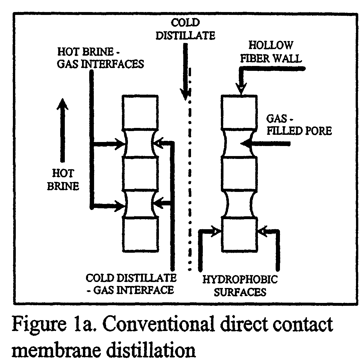 Desalination devices and systems using porous hydrophobic hollow fibers and hydrophobic porous coatings