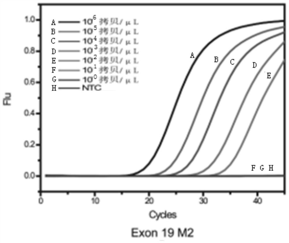 Multiple enrichment method for detection of low-frequency mutations associated with targeted drugs in non-small cell lung cancer