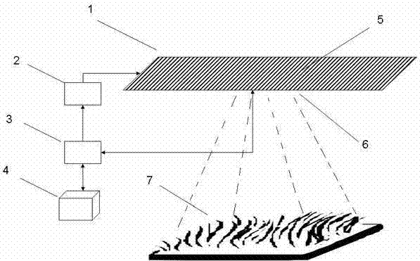 Solar ray utilization method for plant culture