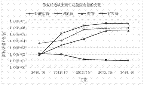 Microbial Matrix Blanket and Installation Method for Slope and Revetment Vegetation Restoration