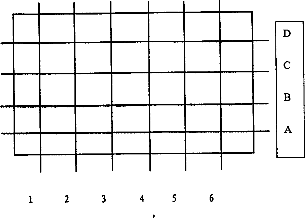 Method based on digitalizing technique for obtaining ancient wall painting in cave