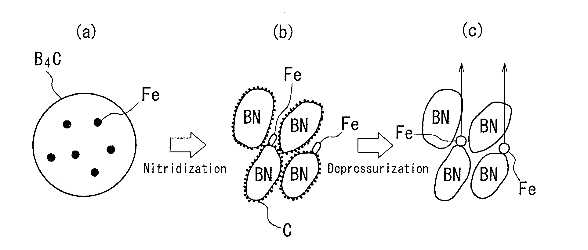 Hexagonal boron nitride powder and method for producing same