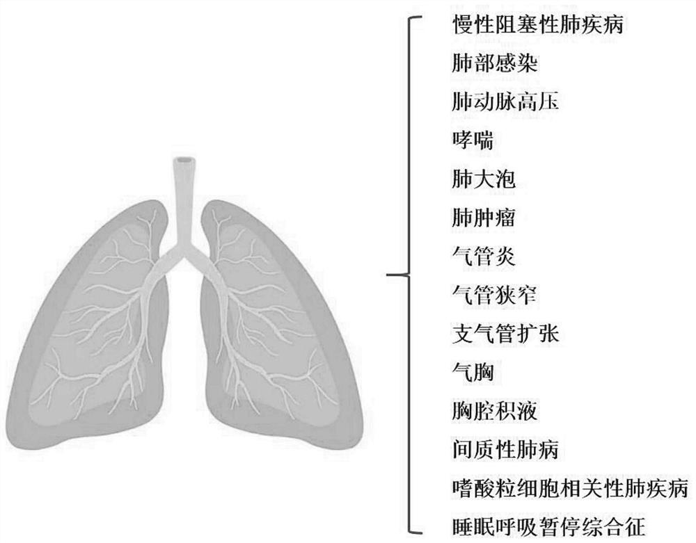 Total pulmonary respiration medicine disease medical auxiliary diagnosis system based on multi-step decision