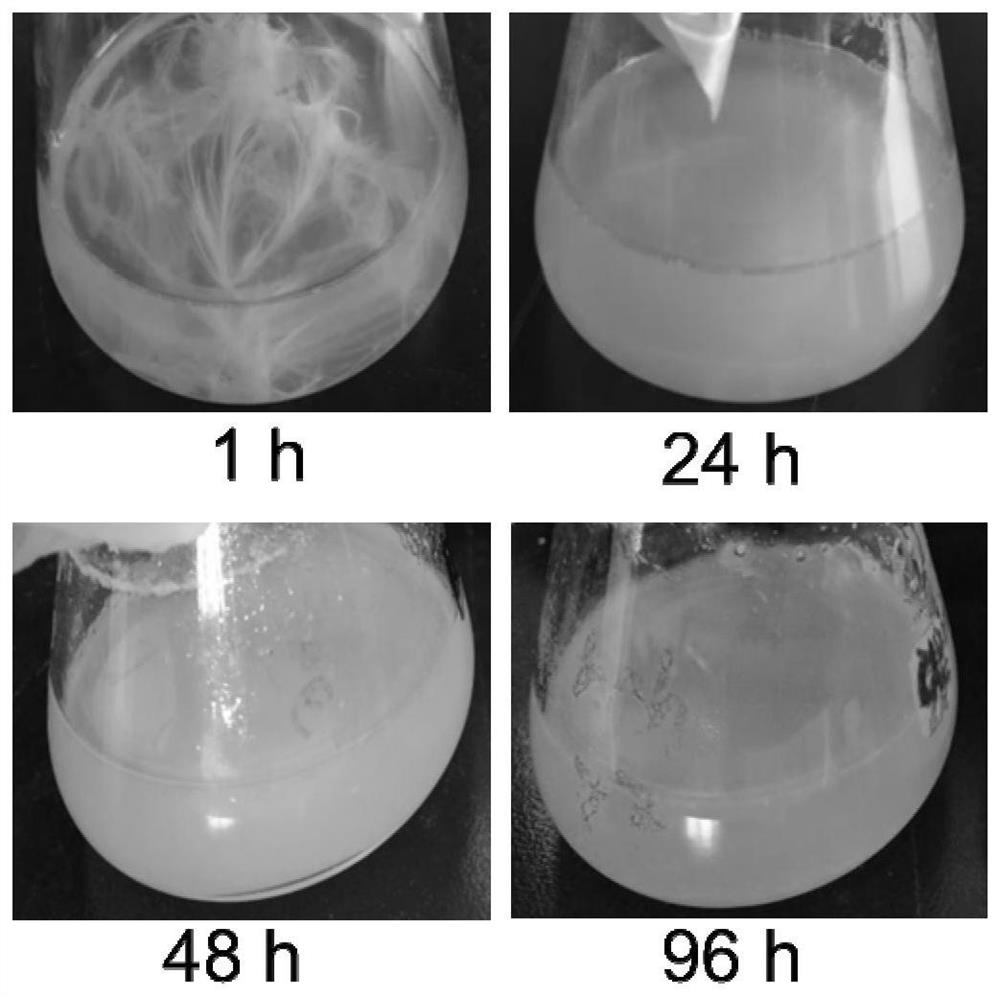 Gene module for efficiently degrading feathers and synthesizing artificial hemoprotein and application