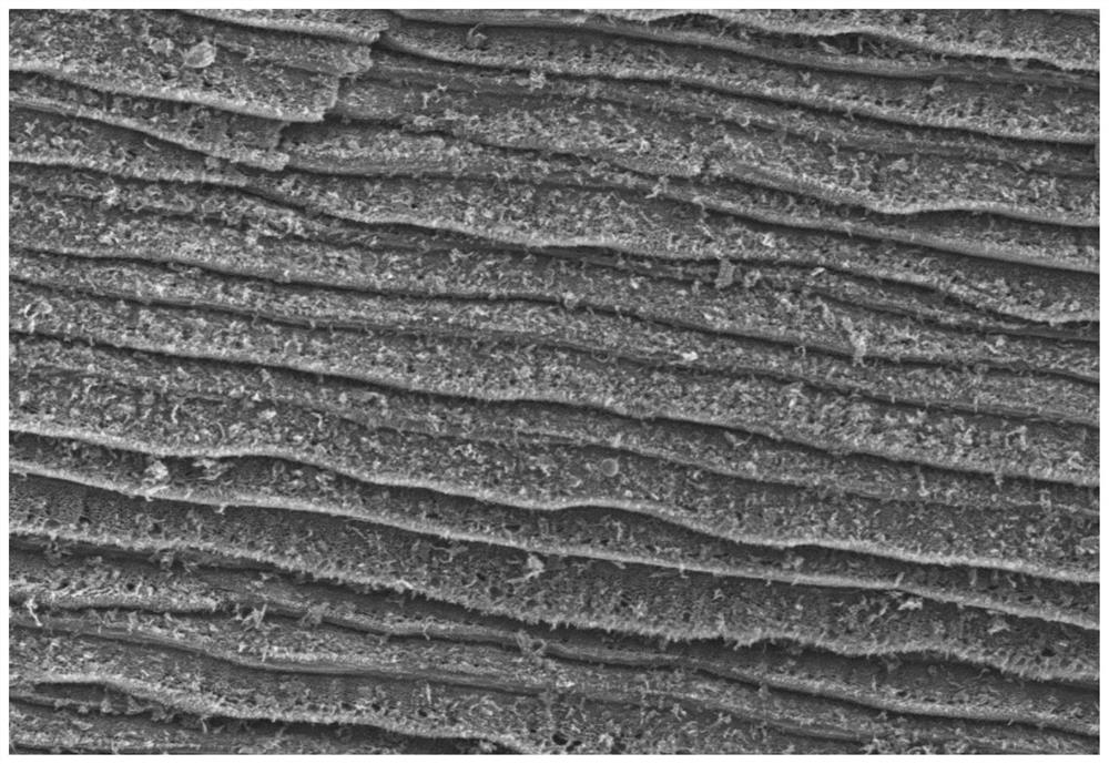 Layered wave-absorbing material and preparation method thereof