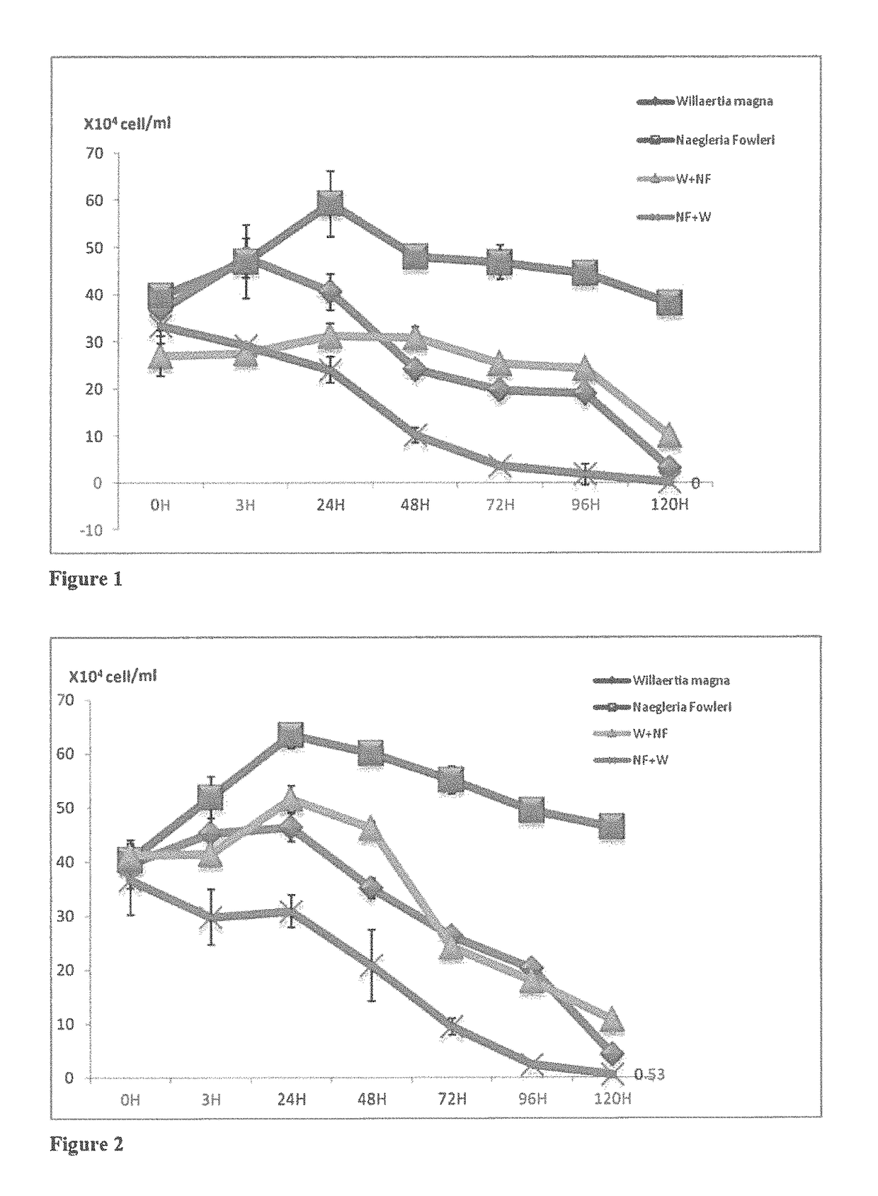 Method for biologically combating <i>Naegleria fowleri</i>, and disinfecting agent containing protozoa of the species <i>Willaertia magna </i>