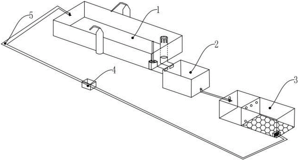 Temporary culture system of marine fish by using circulating water