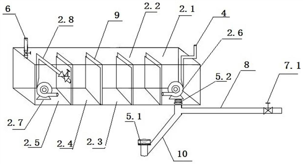 Cyprinus carpio haematopterus and vegetable symbiotic circulating aquaculture system and method